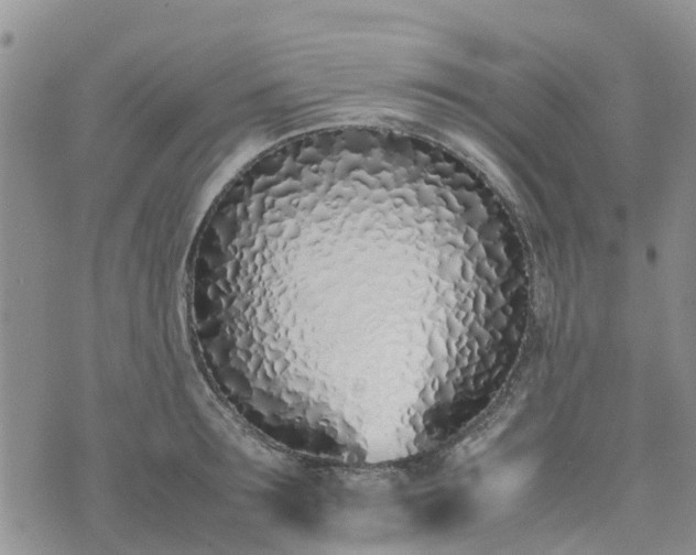 X0000074330899200609011600
