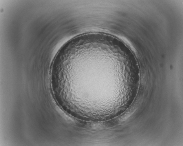 X0000074330903200609011559