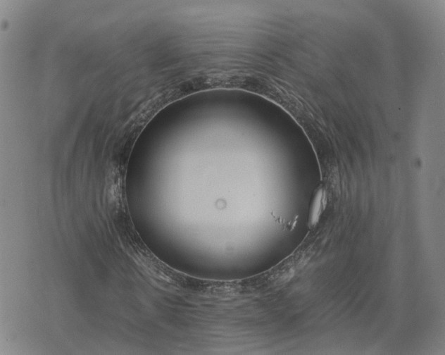 X0000074330914200609011559