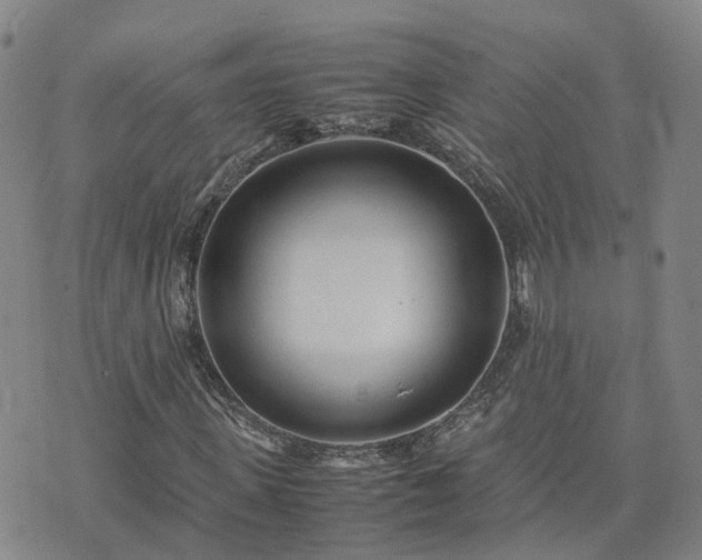 X0000074330915200609011559