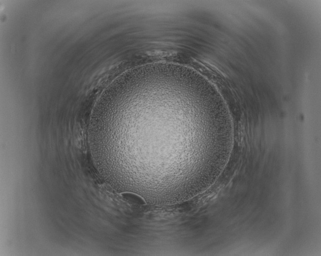 X0000074330917200609011559