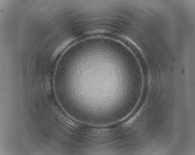 X0000074330921200609011559