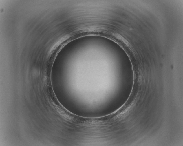 X0000074330922200609011559