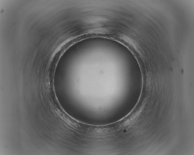 X0000074330923200609011559