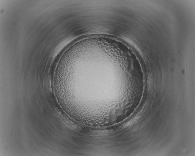 X0000074330925200609011559