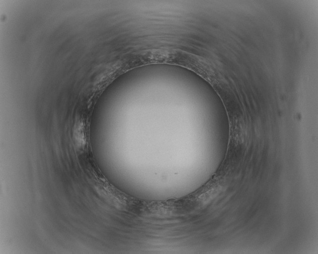 X0000074330962200609011559