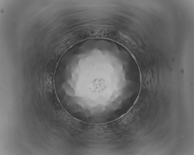 X0000074331013200609011557