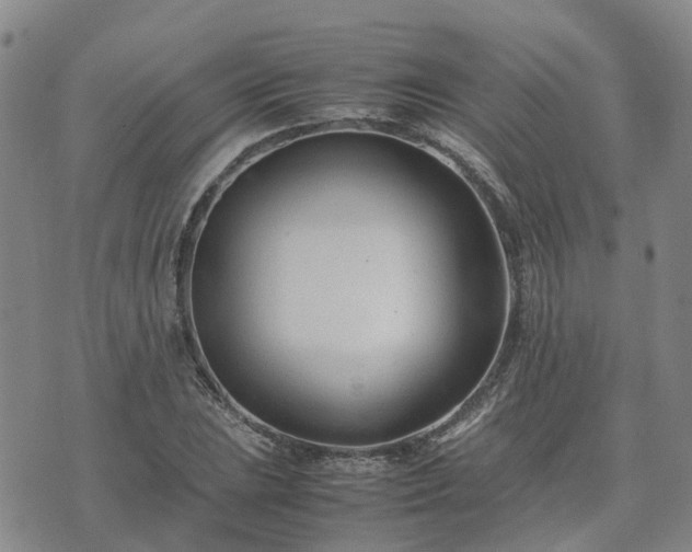 X0000074331023200609011557