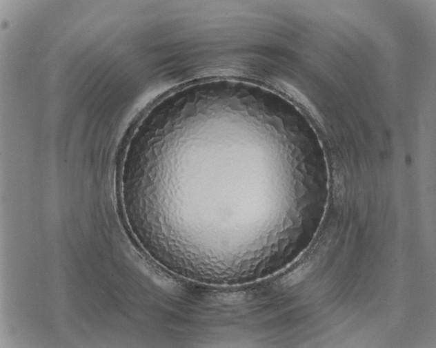 X0000074331035200609011557