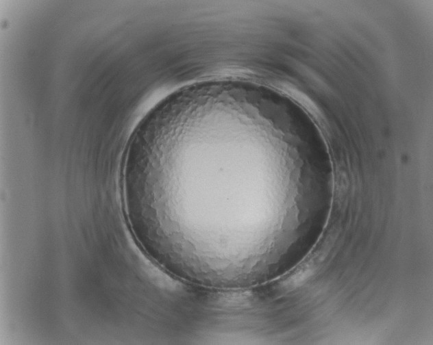 X0000074331055200609011558