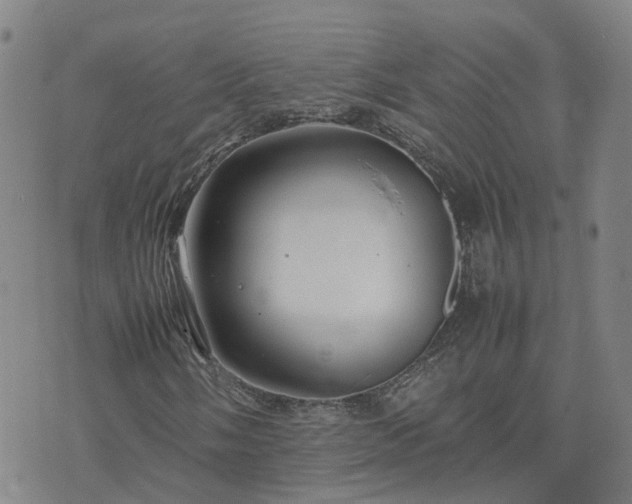 X0000074331058200609011557