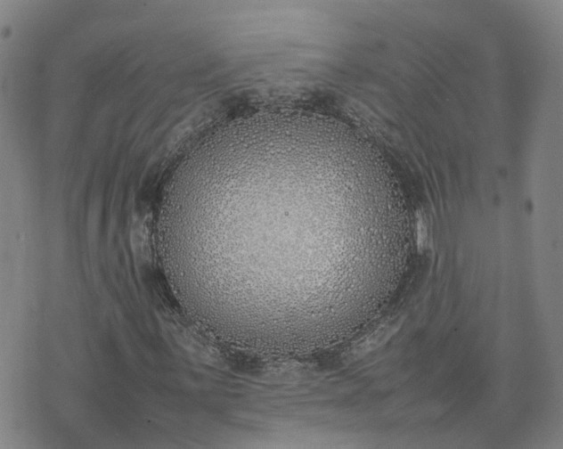 X0000074331059200609011557