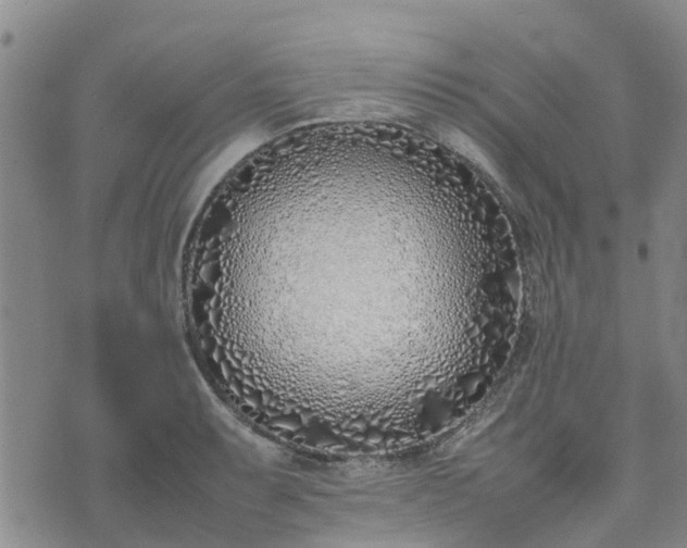 X0000074331087200609011557