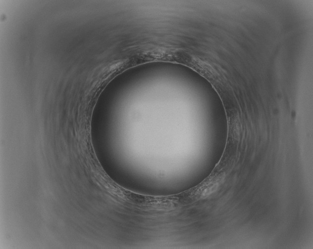 X0000074331105200609011555