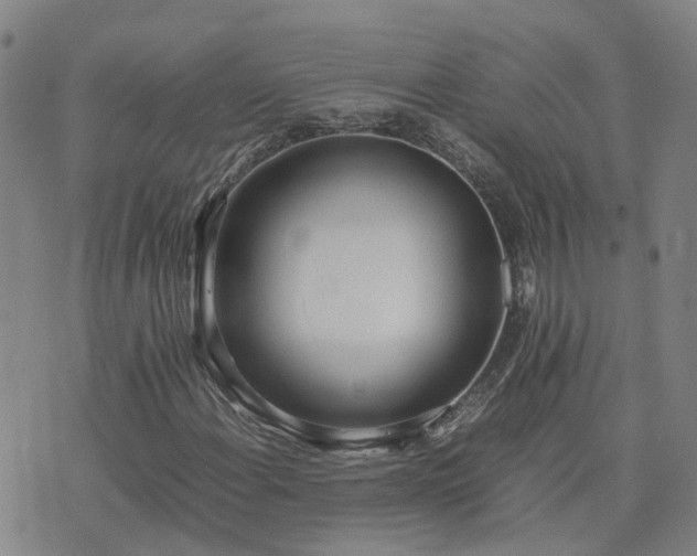 X0000074331108200609011555