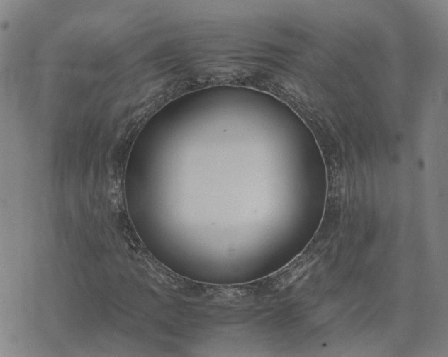 X0000074331109200609011556