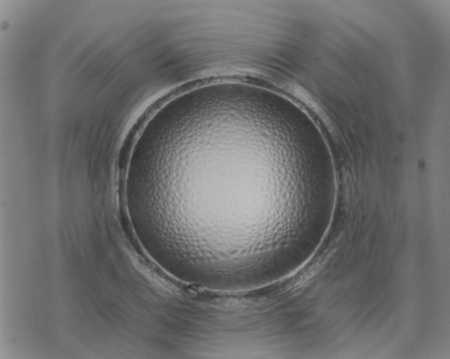 X0000074331124200609011556
