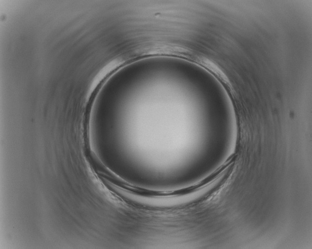 X0000074331138200609011556