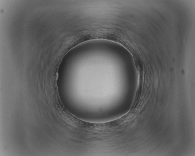 X0000074331153200609011555