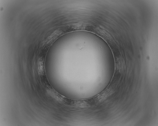 X0000074331154200609011555