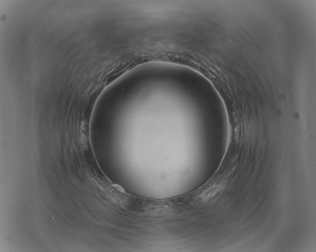X0000074331156200609011555