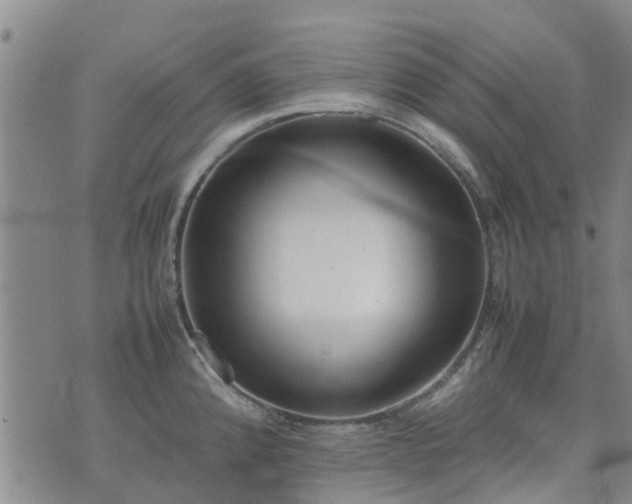 X0000074331192200609011555