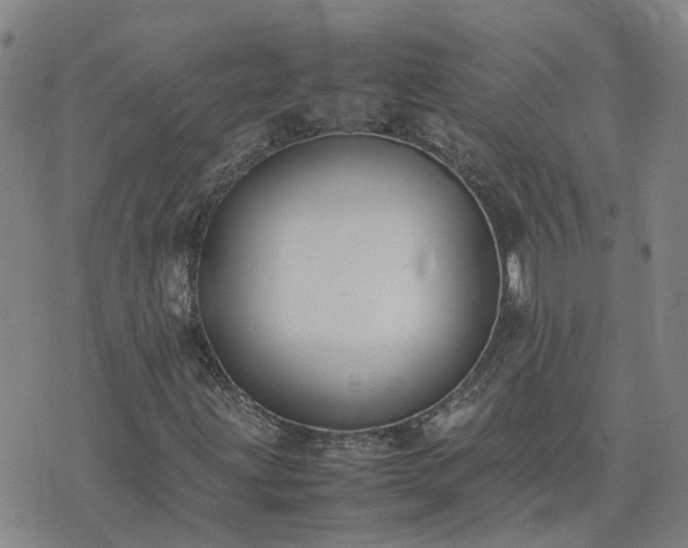 X0000074331203200609011554