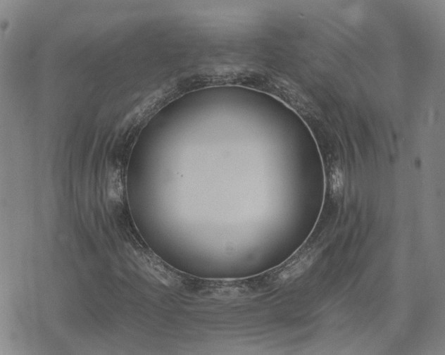 X0000074331204200609011554