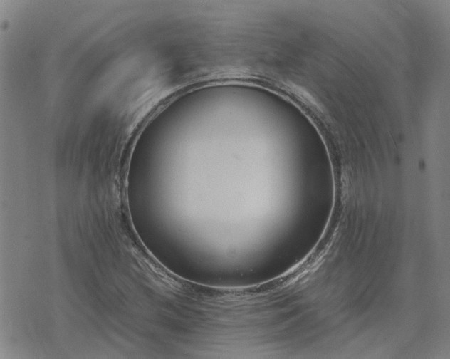 X0000074331212200609011554