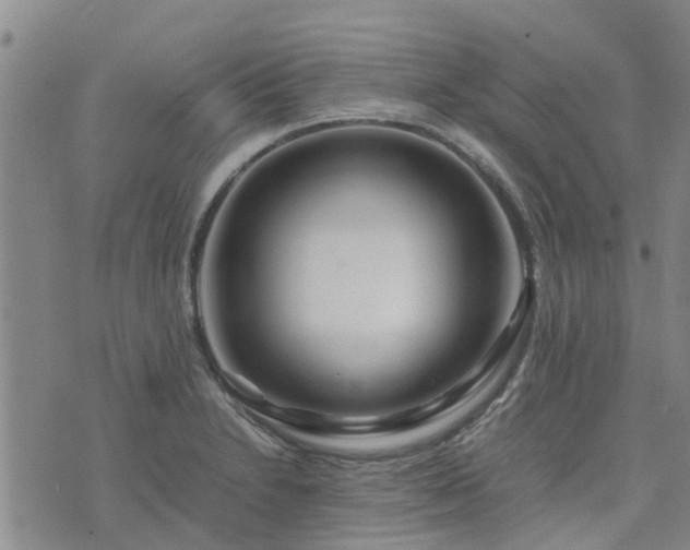X0000074331230200609011554
