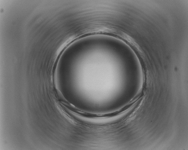 X0000074331234200609011554