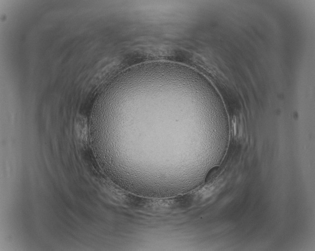 X0000074331251200609011554