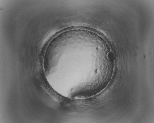 X0000074331263200609011554