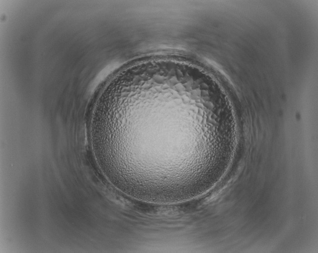 X0000074331267200609011554