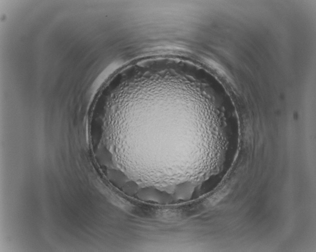 X0000074331275200609011553