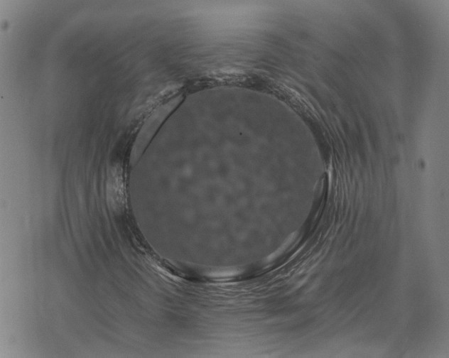 X0000074331298200609011552