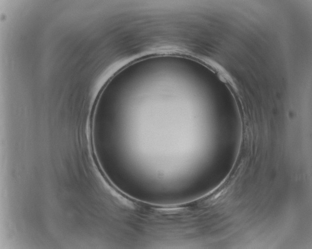 X0000074331343200609011553