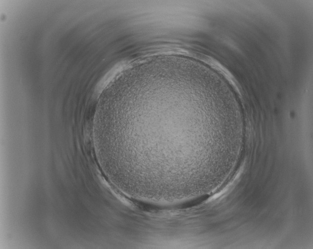 X0000074331385200609011552