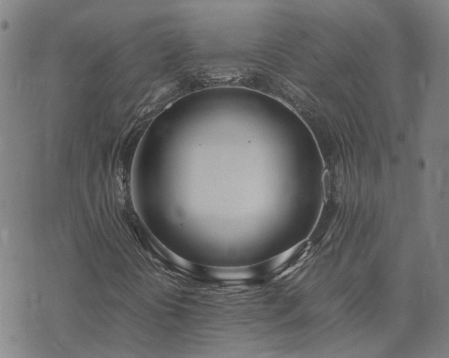 X0000074331394200609011551