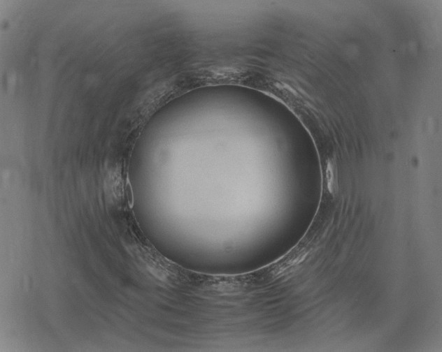 X0000074331395200609011551