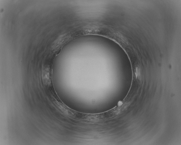 X0000074331396200609011551