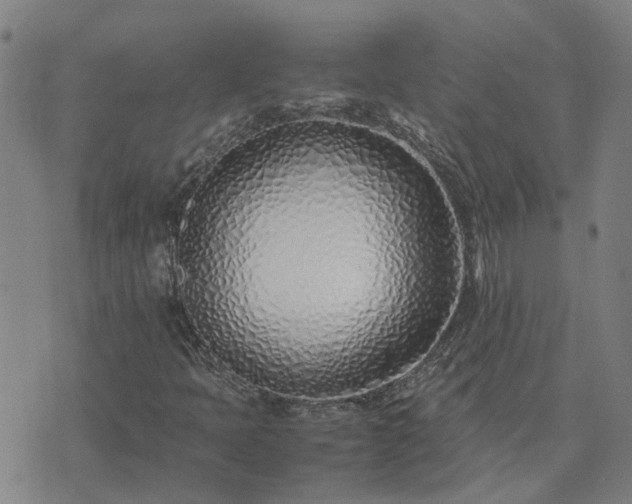 X0000074331397200609011551