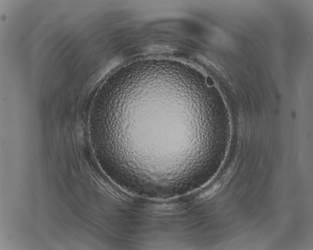 X0000074331401200609011551