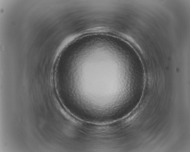 X0000074331421200609011551