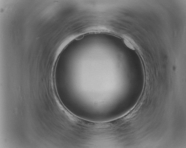 X0000074331440200609011552