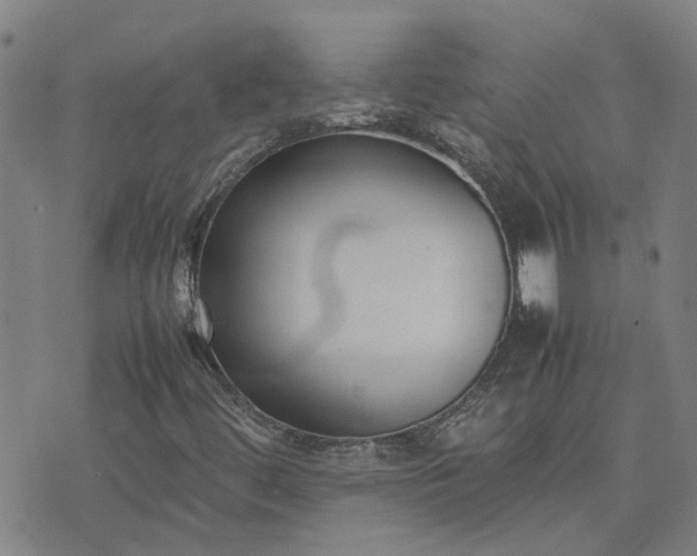 X0000074331444200609011551