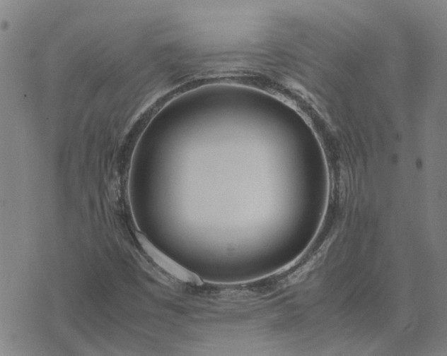 X0000074331449200609011551