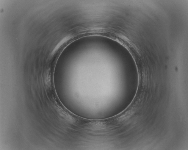 X0000074331450200609011551