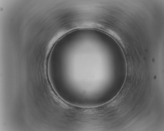 X0000074331480200609011550