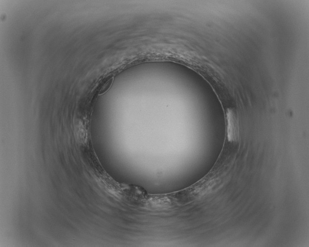 X0000074331491200609011549